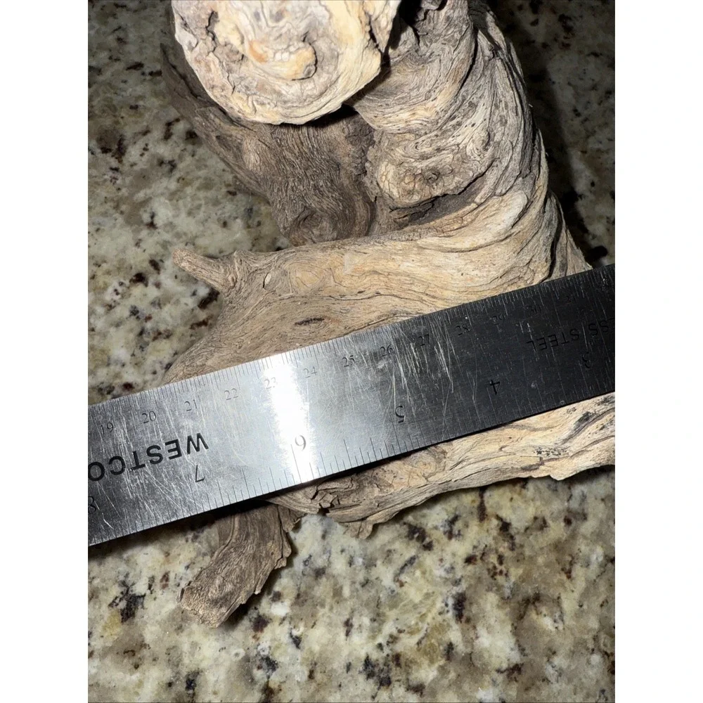 Driftwood‎ taxidermy log super super cool pieceThis very old. Flower arrangement